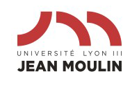 Logo Université Lyon III Jean Moulin